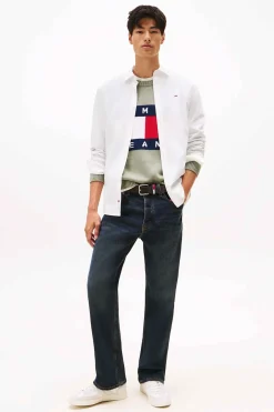 Camisa regular de popel&iacute;n