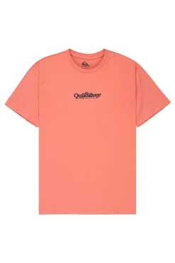 Camiseta de manga corta