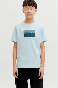 Camiseta logo