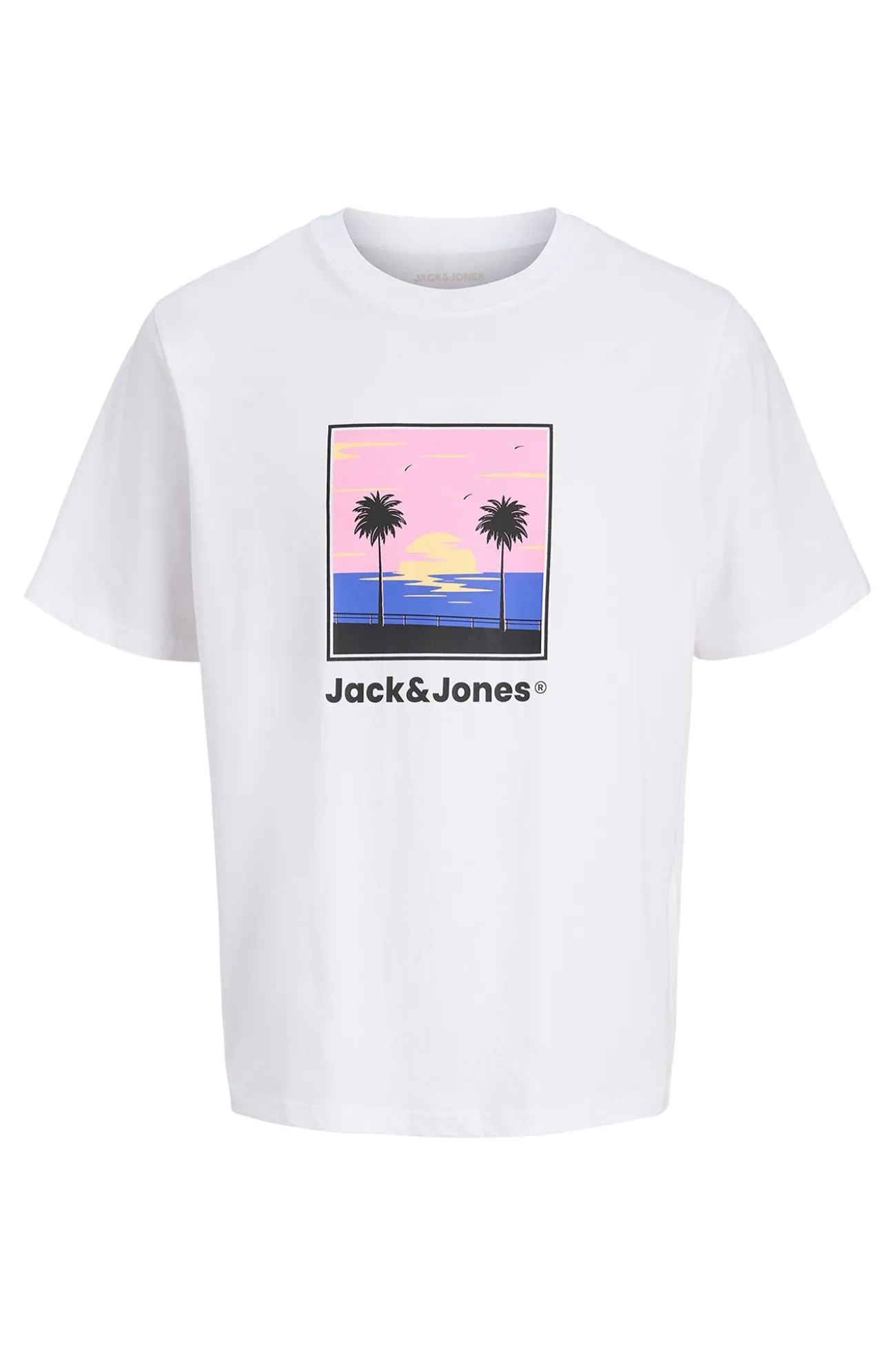 Camiseta manga corta de algod&oacute;n