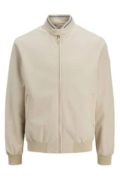 Chaqueta bomber