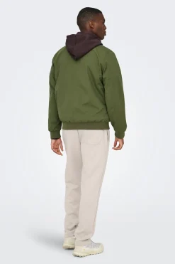 Chaqueta bomber