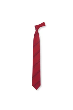 Corbata con seda natural