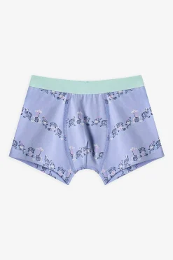 Pack 3 boxers dino rayas