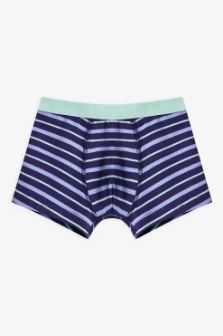 Pack 3 boxers dino rayas