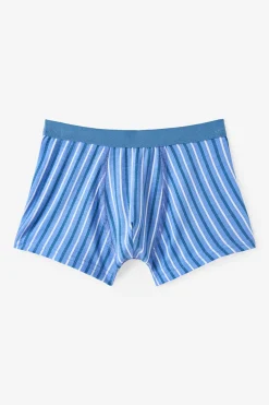 Pack 2 boxers dino rayas
