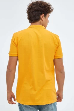 Polo B&aacute;sico