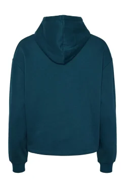 Sudadera b&aacute;sica capucha
