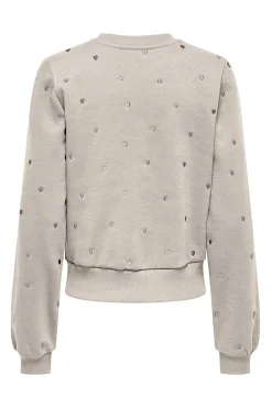 Sudadera bordado lurex