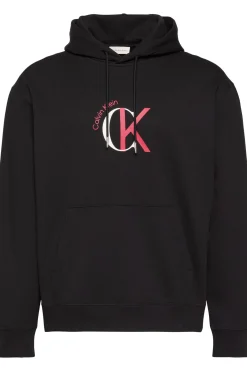 Sudadera con capucha