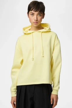 Sudadera hoodie b&aacute;sica