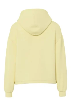 Sudadera hoodie b&aacute;sica