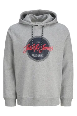 Sudadera logo con capucha