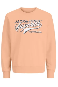 Sudadera logo grande
