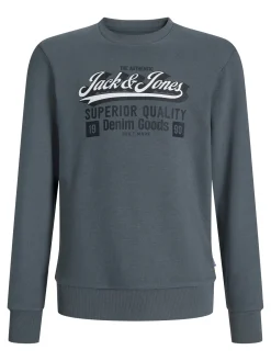 Sudadera logo grande